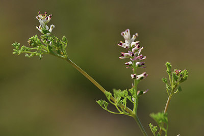 BUITEN BEELD Foto: 414304