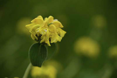 BUITEN BEELD Foto: 414306