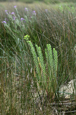 BUITEN BEELD Foto: 414307