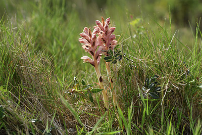 BUITEN BEELD Foto: 414318