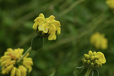 BUITEN BEELD Foto: 414320