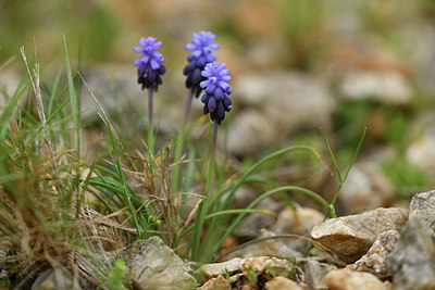 BUITEN BEELD Foto: 414332
