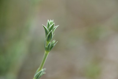 BUITEN BEELD Foto: 414354