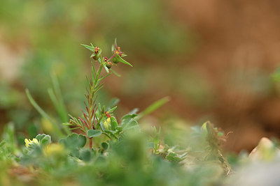 BUITEN BEELD Foto: 414378