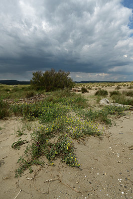 BUITEN BEELD Foto: 414381