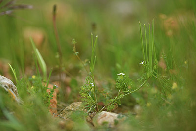 BUITEN BEELD Foto: 414402