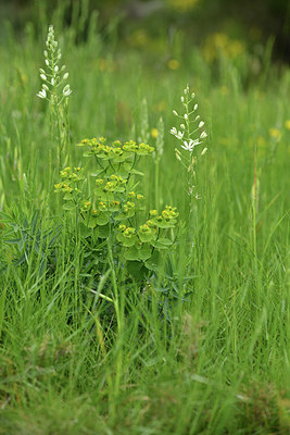 BUITEN BEELD Foto: 414408