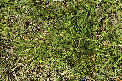 BUITEN BEELD Foto: 414421