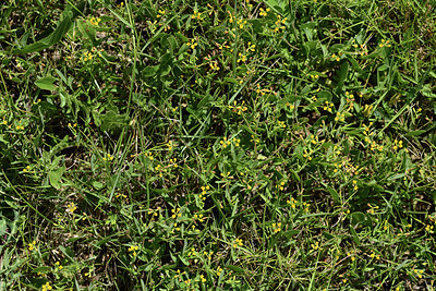 BUITEN BEELD Foto: 414438