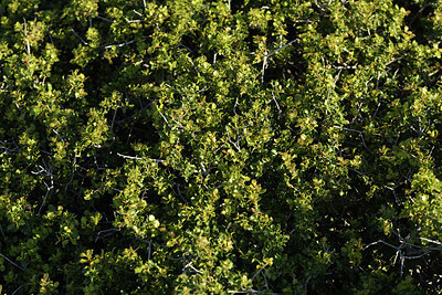 BUITEN BEELD Foto: 414450