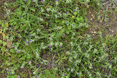BUITEN BEELD Foto: 414465