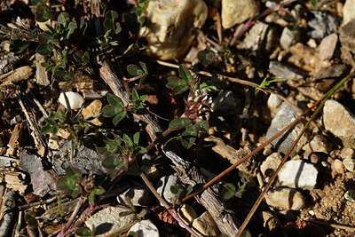 BUITEN BEELD Foto: 414492