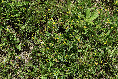 BUITEN BEELD Foto: 414497