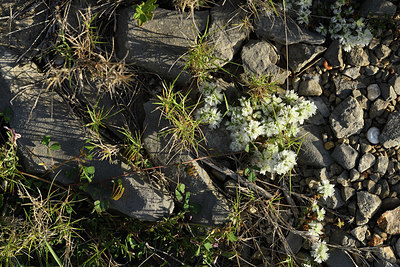 BUITEN BEELD Foto: 414524