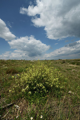 BUITEN BEELD Foto: 414528