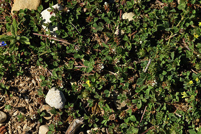 BUITEN BEELD Foto: 414539