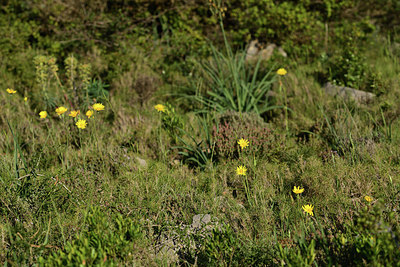 BUITEN BEELD Foto: 414540