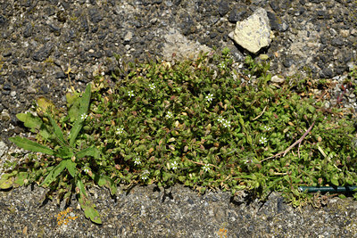 BUITEN BEELD Foto: 414543