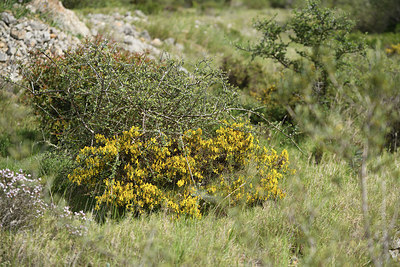 BUITEN BEELD Foto: 414560