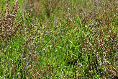 BUITEN BEELD Foto: 414571