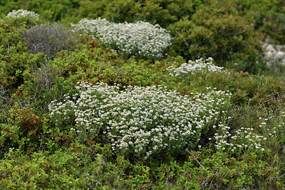 BUITEN BEELD Foto: 414577