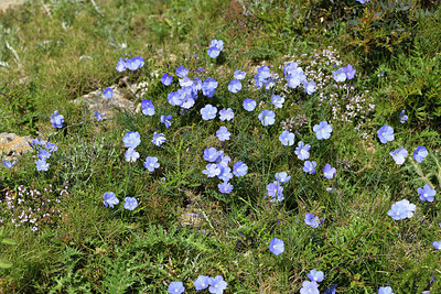 BUITEN BEELD Foto: 414596