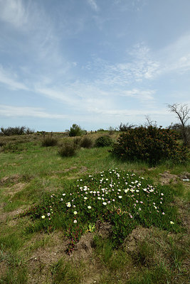 BUITEN BEELD Foto: 414600