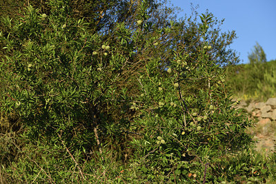 BUITEN BEELD Foto: 414601