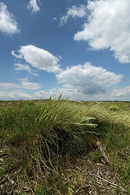 BUITEN BEELD Foto: 414602