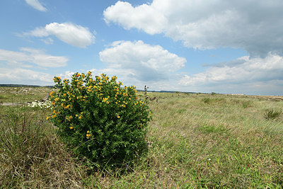 BUITEN BEELD Foto: 414609