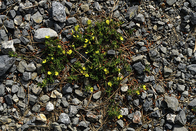 BUITEN BEELD Foto: 414628