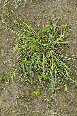 BUITEN BEELD Foto: 414645