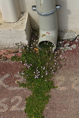 BUITEN BEELD Foto: 414655