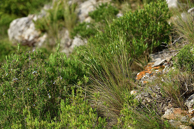 BUITEN BEELD Foto: 414657