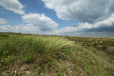 BUITEN BEELD Foto: 414684