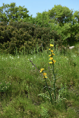 BUITEN BEELD Foto: 414703