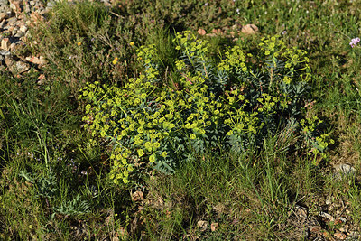 BUITEN BEELD Foto: 414707