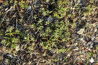 BUITEN BEELD Foto: 414710