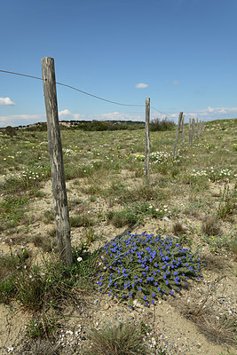 BUITEN BEELD Foto: 414716