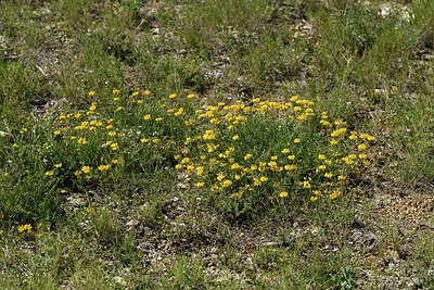 BUITEN BEELD Foto: 414722