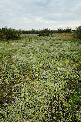 BUITEN BEELD Foto: 414753