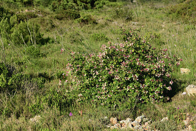 BUITEN BEELD Foto: 414759