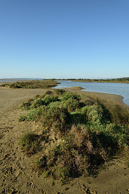 BUITEN BEELD Foto: 414763