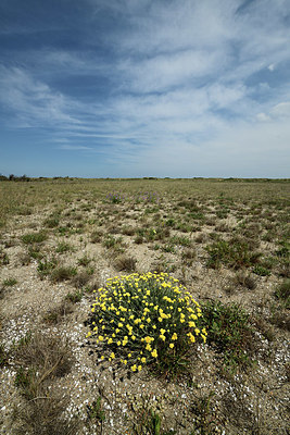 BUITEN BEELD Foto: 414764