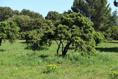 BUITEN BEELD Foto: 414765