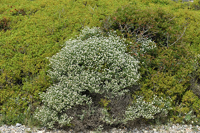 BUITEN BEELD Foto: 414766