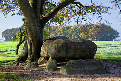 BUITEN BEELD Foto: 414865