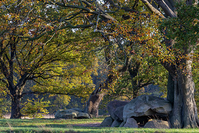 BUITEN BEELD Foto: 414866