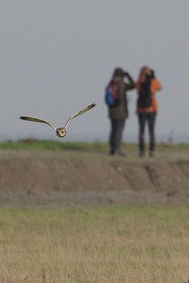 BUITEN BEELD Foto: 414972