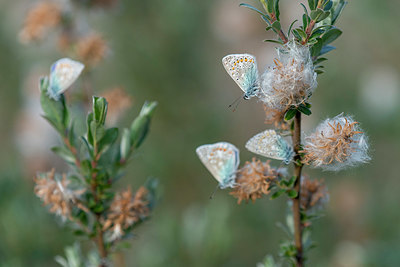 BUITEN BEELD Foto: 414989